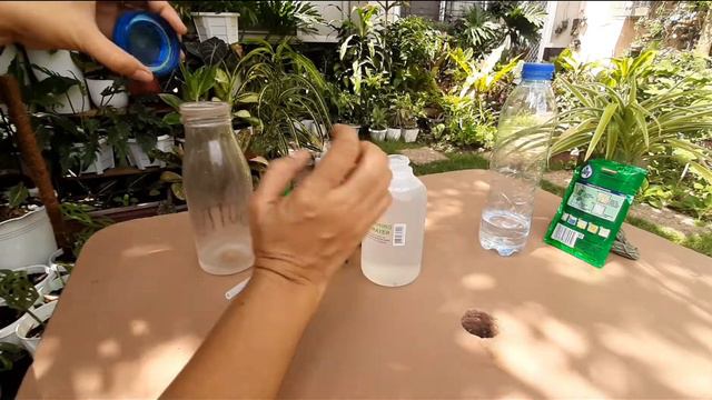 PAANO GAWIN ANG HOMEMADE PESTICIDES(3 EASY STEPS)👋👍🙏😊