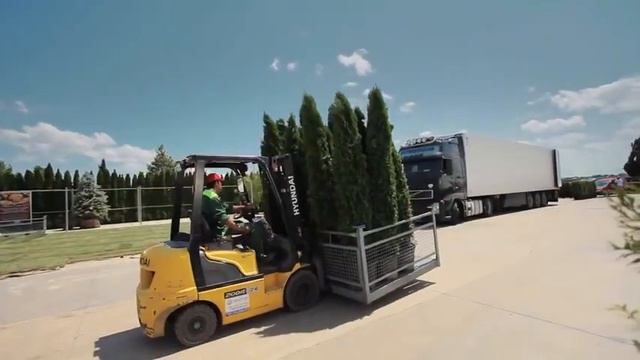 Наш Питомник смотреть онлайн