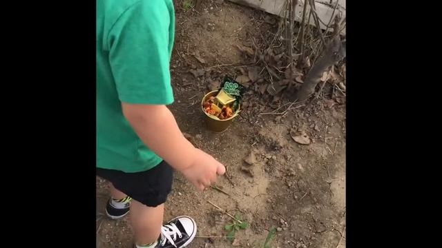 Theo is in search of the leprechauns pot of gold! смотреть онлайн