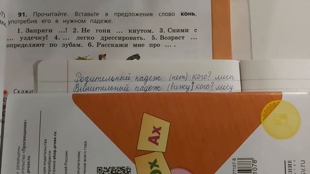 Родительный и Винительный падежи 3 класс смотреть онлайн