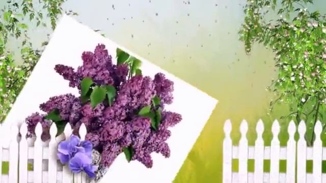 КОГДА НА УЛИЦЕ СИРЕНЬ ЦВЕЛА смотреть онлайн