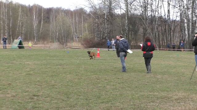 Большой Русский Ринг. 23.04.2016 г. Класс "Б"(камера 2). смотреть онлайн