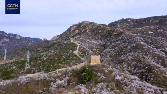 Весенние краски Великой китайской стены смотреть онлайн