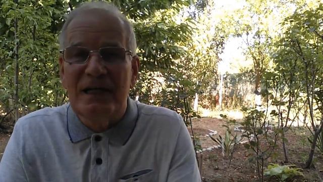 Как зарождаются органы Человека и болезнь РАК смотреть онлайн