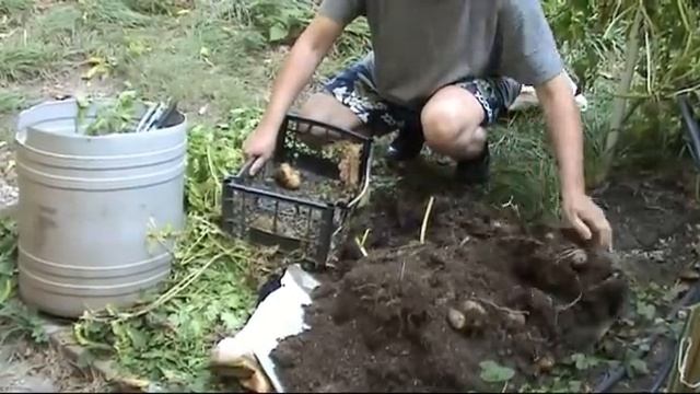 Картофель в мешках ,Картофи в чувал, Pomme de terre en sac смотреть онлайн