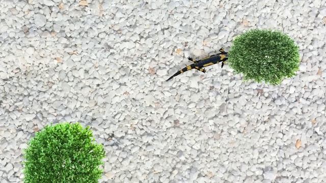 GAME FOR CATS - Realistic Salamander ? 3 HOURS [CATS TV]