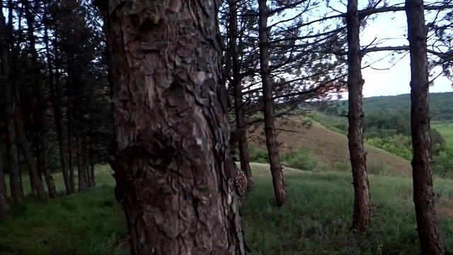 Стихотворение "Никогда ни о чем не жалейте" Андрей Дементьев смотреть онлайн