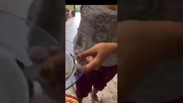 Мангровый червь смотреть онлайн