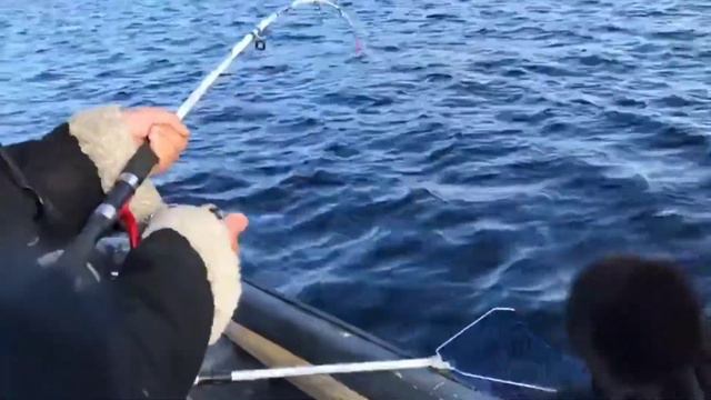 Рыбалка в Карелии. Ловим треску в Белом море. смотреть онлайн