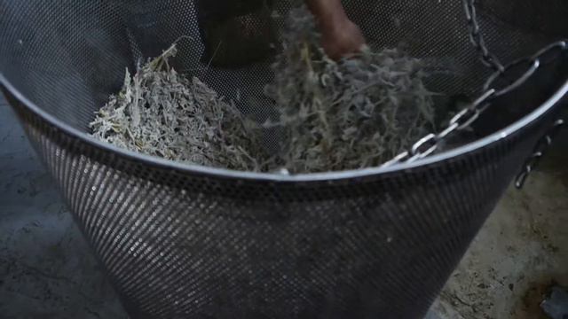 KURTES смотреть онлайн