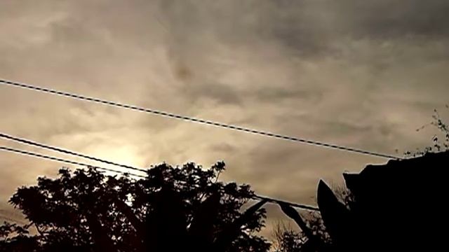 NVIDIA® Jetson™ TX1 смотреть онлайн