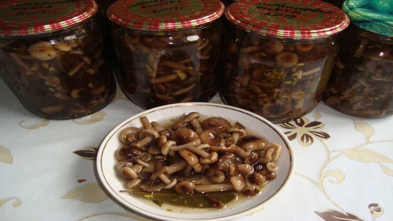 РЕЦЕПТ ОЧЕНЬ ВКУСНЫХ МАРИНОВАННЫХ ОПЯТ В СОБСТВЕННОМ ОТВАРЕ смотреть онлайн
