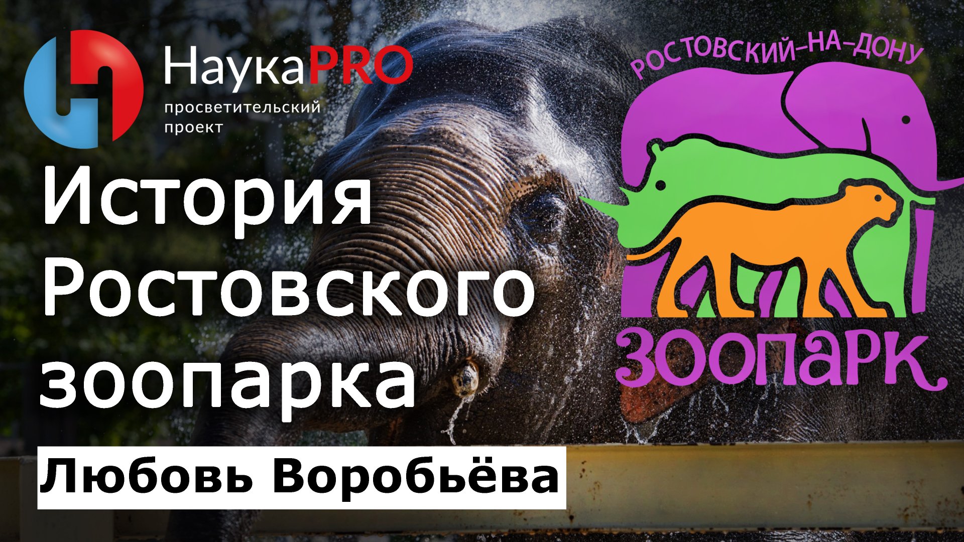 История Ростовского-на-Дону зоопарка – Любовь Воробьёва | Краеведение Дона | Научпоп