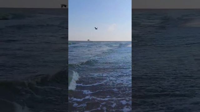 Релакс 🎶 Музыка Природа 🕊️ Море Курортное ⛵🌞 #2023 #жизнь #море #хит #отдых #мир #україна #супер 🏝️ смотреть онлайн