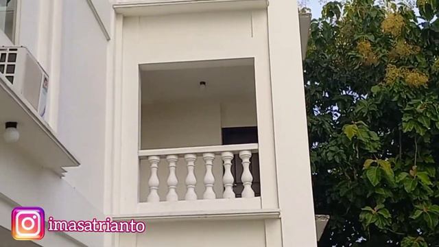 FASILITAS "HOTEL DI CEPU" LENGKAP || PING PONG DAN BERENANG смотреть онлайн