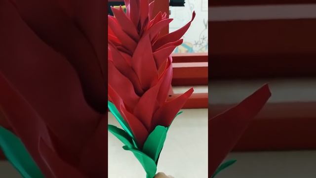 Цветок Геликония смотреть онлайн