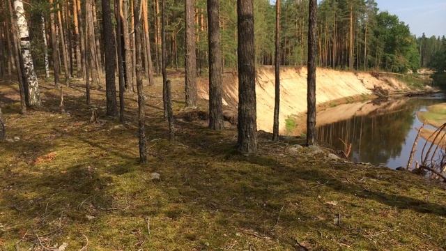 Самая высокая гора на реке Лух - 2 | 4K 2018 смотреть онлайн