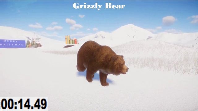 Lag Bear Animals Speed Races in Planet Zoo | Planet Zoo Races смотреть онлайн