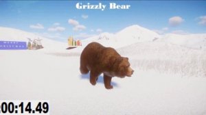 Lag Bear Animals Speed Races in Planet Zoo | Planet Zoo Races