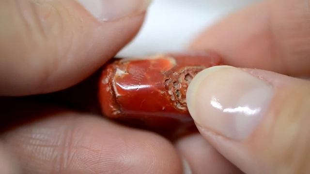 Коралл красный 38,5 карат смотреть онлайн