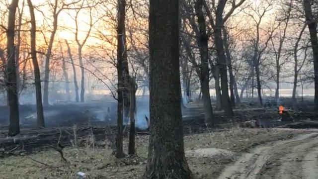 ОСТРОВ САРПИНСКИЙ ВОЛГОГРАД-ПОСЛЕ ПОЖАРА. смотреть онлайн