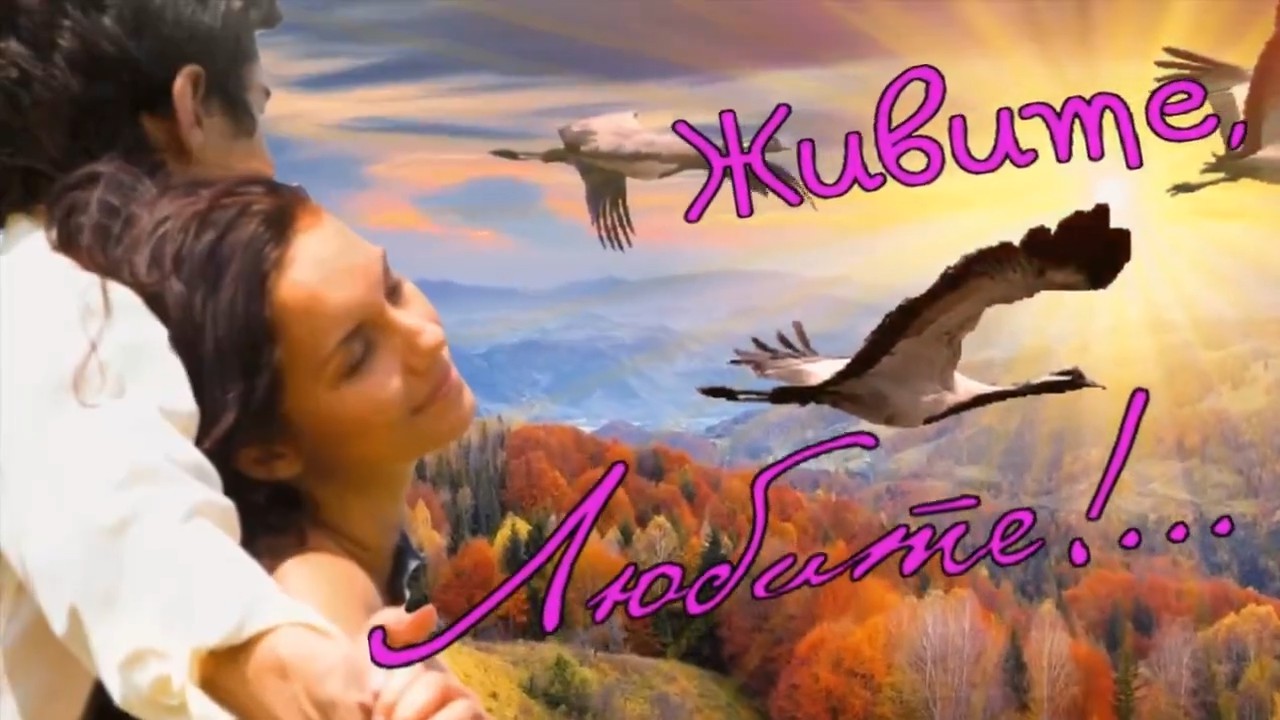 Светлана Аверочкина - Живите,Любите.mp4 смотреть онлайн