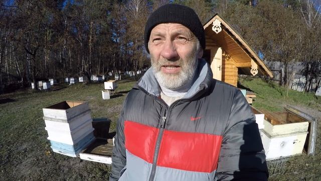 КАКОЙ УЛЕЙ ВСЕ ТАКИ ЛУЧШЕ? смотреть онлайн