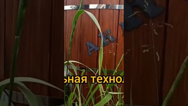 Аквабеседка - это нержавейка! смотреть онлайн