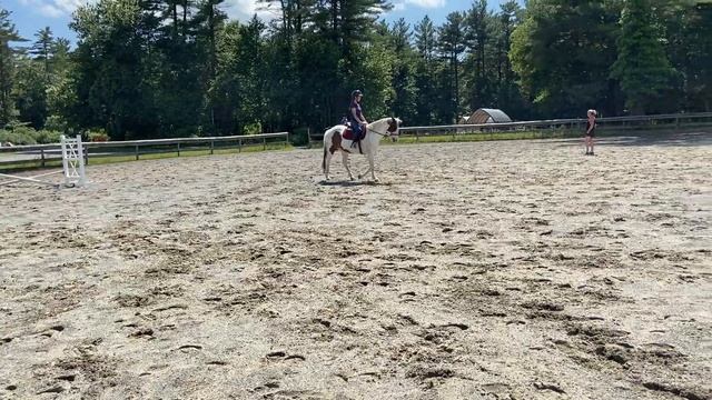 Amber F & Splash of Sass | Green Horse WT Pleasure | Class 26 смотреть онлайн