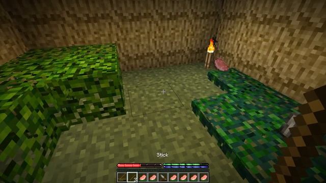 TerraFirmaCraft E02: Pottery смотреть онлайн