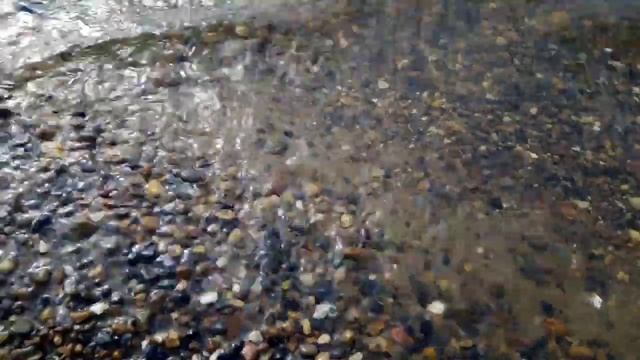 Река Тура, Тюмень, май 2023 смотреть онлайн