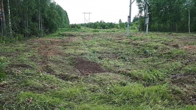 Гроза в деревне / Зачем срубили все деревья? смотреть онлайн