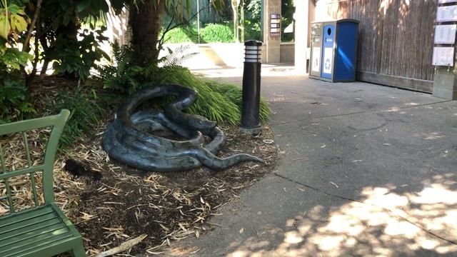 Такома зоопарк. Посмотри на слона, леопарда, тигра. Азиатский лес. США. 2021.Tacoma Zoo смотреть онлайн