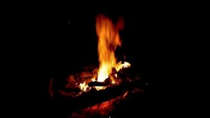 ?Треск Костра,Пение птиц и сверчков. Звуки Огня и Ночного леса. Звуки природы для сна,отдыха,релакс