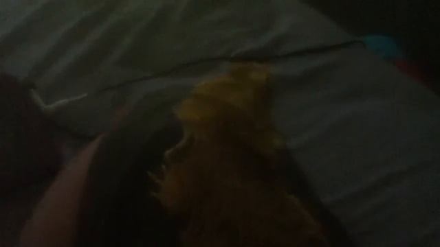 Lizard escapes смотреть онлайн