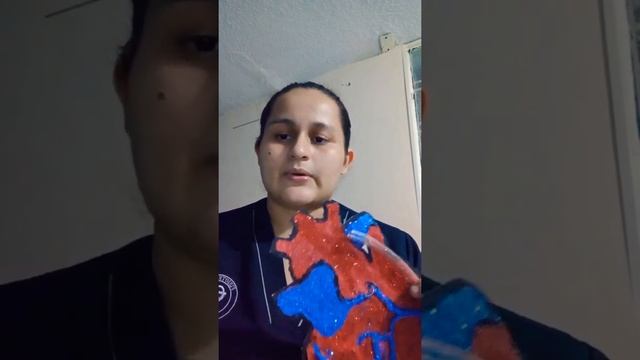 Revascularización Coronaria Y Angioplastia Coronaria