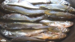 Самый легкий способ , как сделать ШПРОТЫ из УКЛЕЙКИ. SPASSK FISHING.