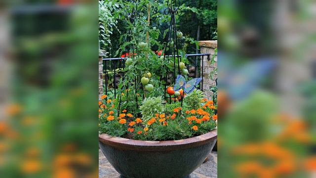 Top 10 Flowering Plants for Your Balcony Garden | Add Color and Life to Your Outdoor Space смотреть онлайн