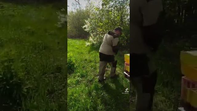 как сделать отводок пчёл смотреть онлайн