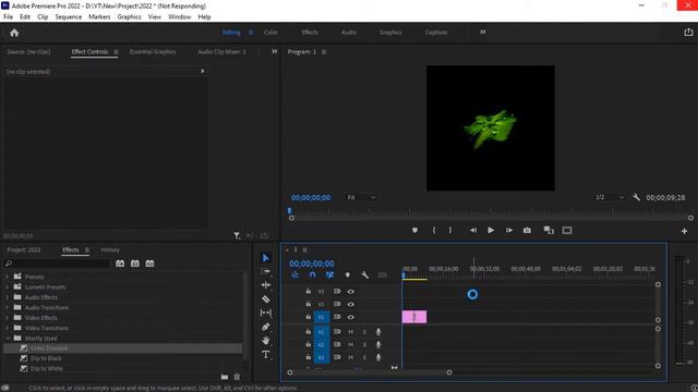 Adobe Premiere Pro Export Error | Hardware Encoding Error смотреть онлайн