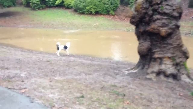 Дождливая туманная зима смотреть онлайн