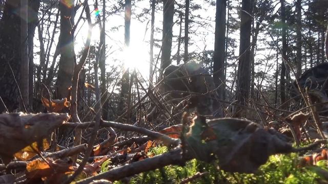 Траверс г. Фалаза - г. Пидан. 2019.10.17-19. смотреть онлайн