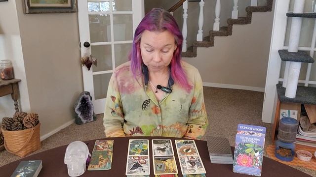 Aquarius Tarot-November ♒️ 5th-11th No fear - Others carry you! - Watch ?! смотреть онлайн