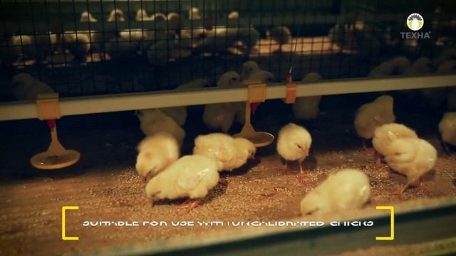 Cage Equipment for Rearing Stock Management смотреть онлайн