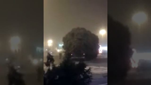 Елочку везут смотреть онлайн