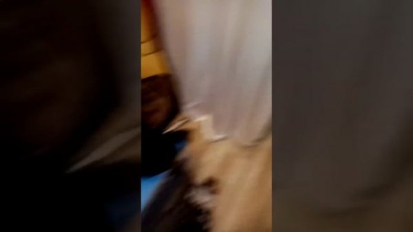 берет юнармия