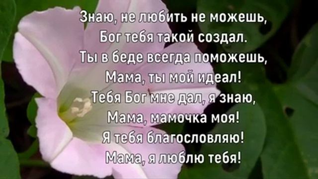 Песня почему седеют мамы смотреть онлайн