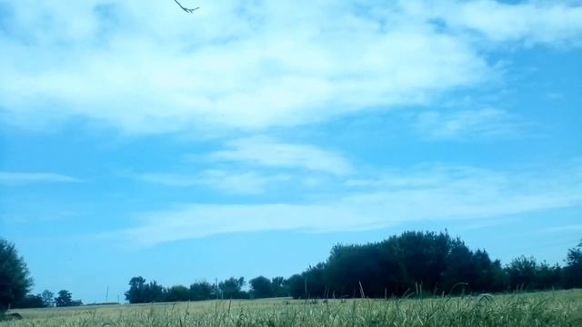 Христианские стихи Любовь Васениной. смотреть онлайн