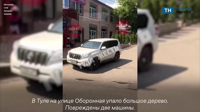 Упавшее дерево повредило две машины в Туле смотреть онлайн