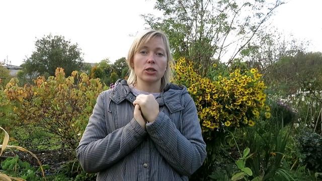 ТОНКОСТИ ПОСАДКИ ЧЕСНОКА / Сажаем озимый лук и чеснок! смотреть онлайн